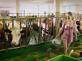 Mating robot malfunctions increased by cheats on her master in a cowshed